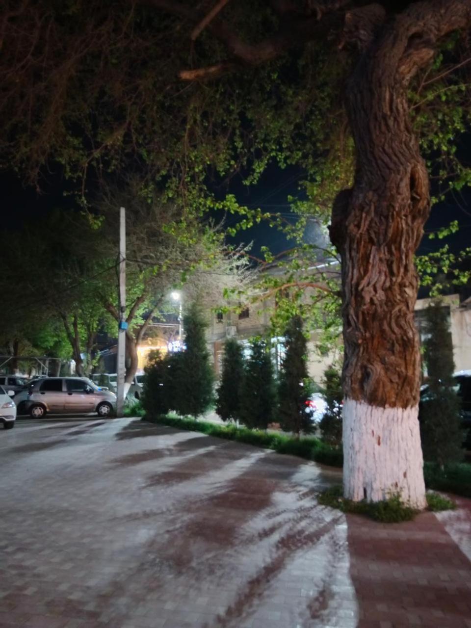 Gulsara Hostel Samarkand Buitenkant foto