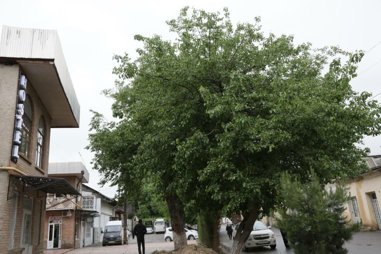 Gulsara Hostel Samarkand Buitenkant foto